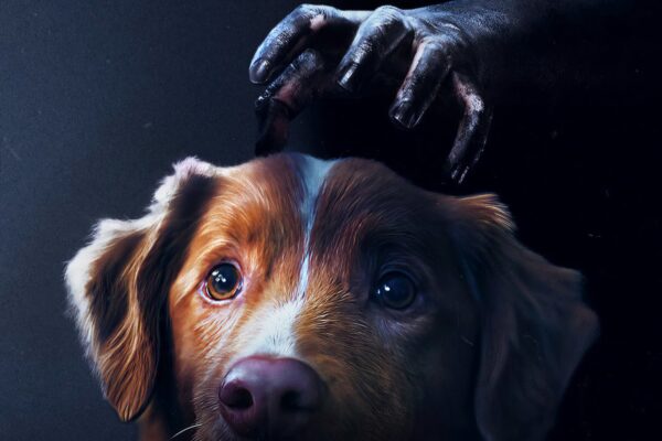 Filme do cãozinho que vê espíritos, tem suas primeiras críticas divulgadas!